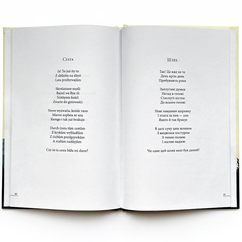 Karol Gwóźdź – Приховані думки / Myśli ukryte product image (4)