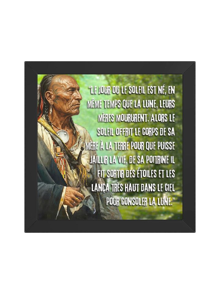 Sagesse Mohican - Tableau product image (1)