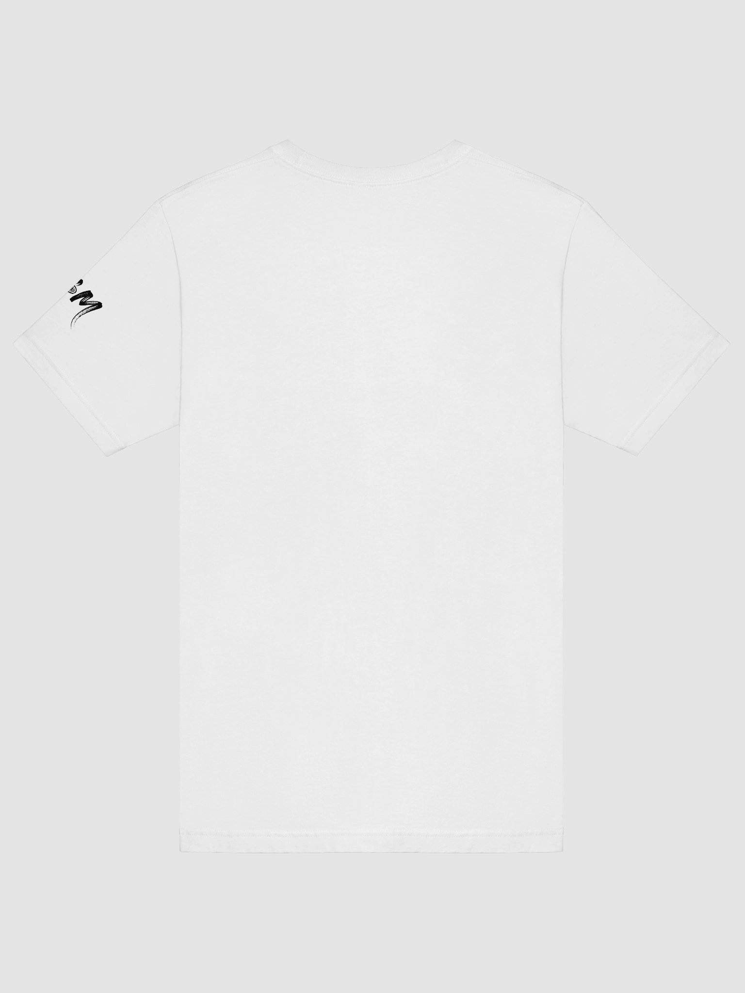 The 2nd Best One in the Room T-Shirt product image (28)