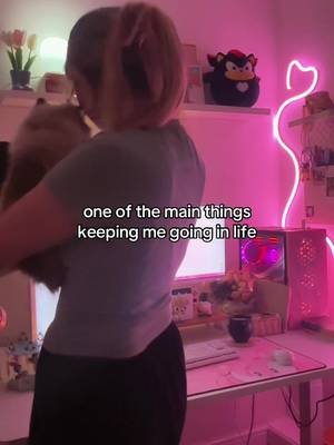 i will do anything for her #catlover #girlgamer #gaming #desksetup #twitchstreamer 