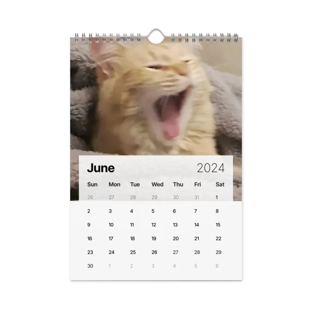 Wall Calendar (2024): Meme Cats product image (12)