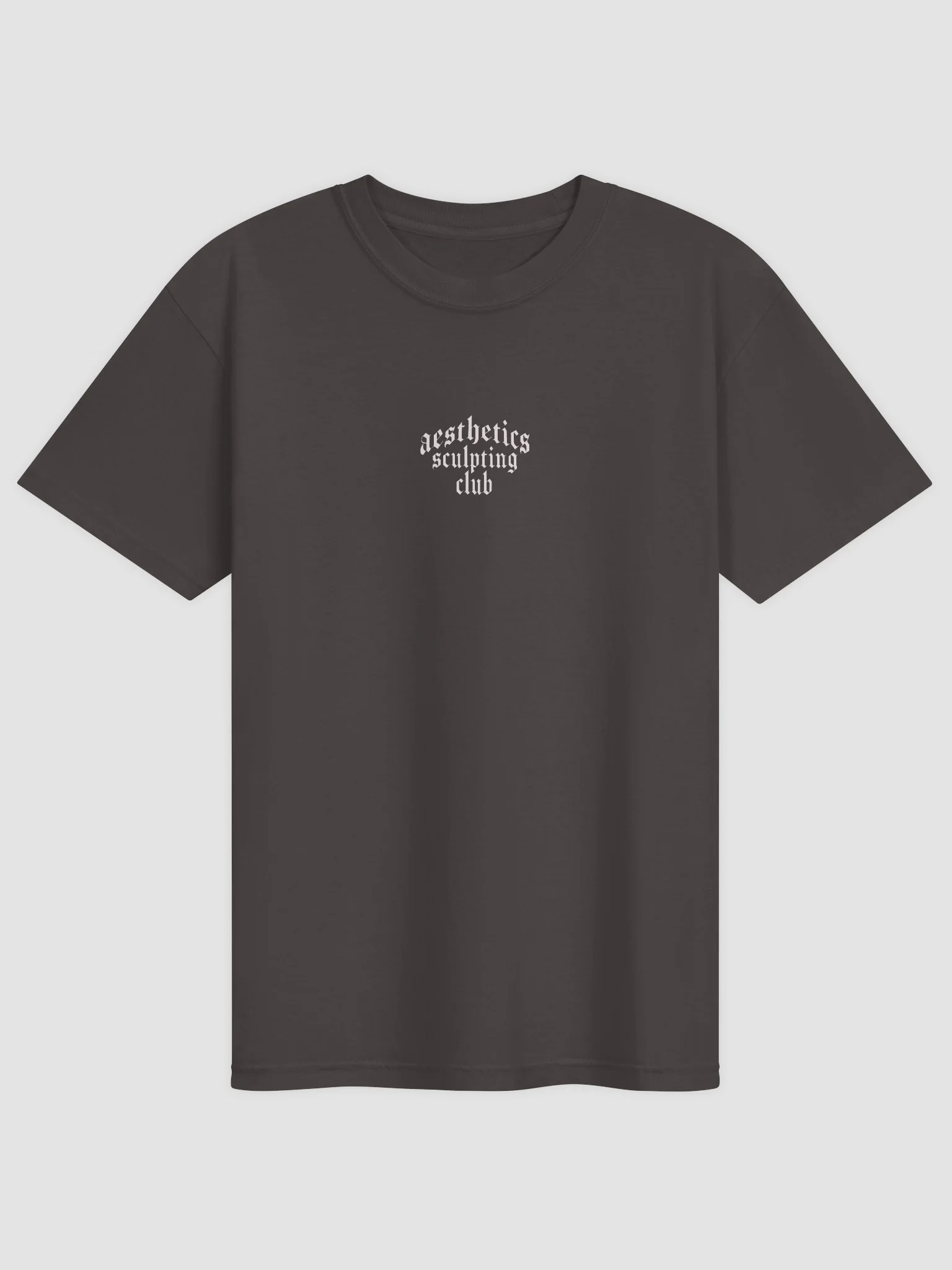 Aesthetics Sculpting Club Tee product image (10)