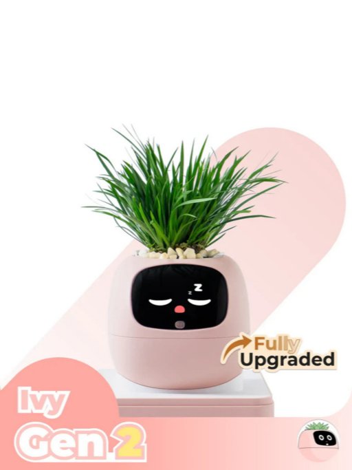 Stilzone Ivy Gen 2 product image (4)