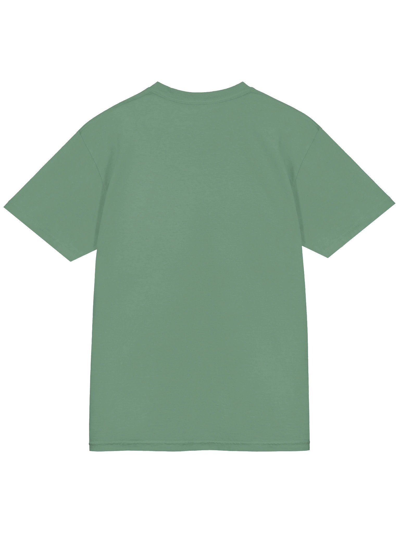 Dove Shit .... Heavyweight Vintage Graphic Tee product image (12)