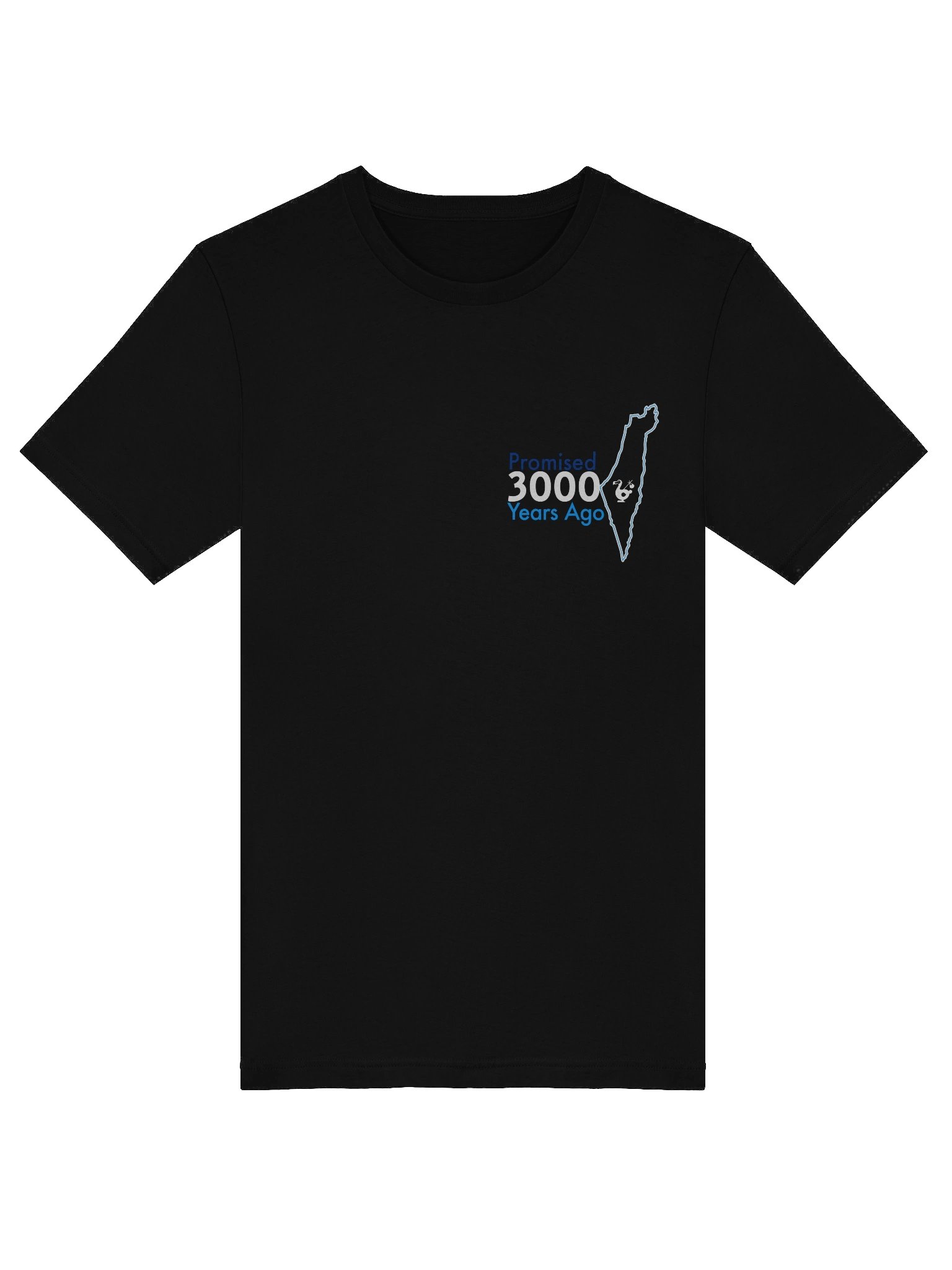 Promised Tee product image (14)