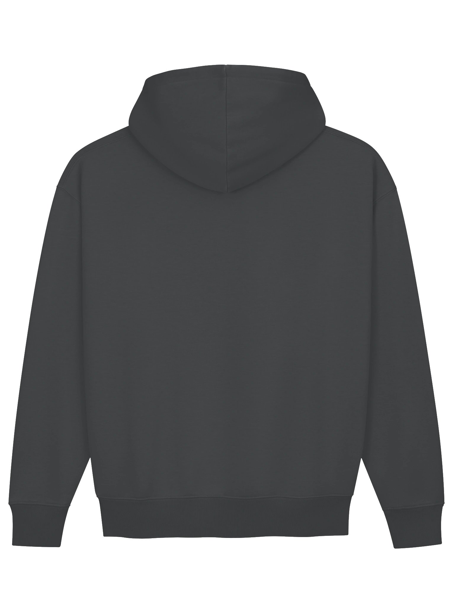 Virtus Script Heavyweight Hoodie product image (7)