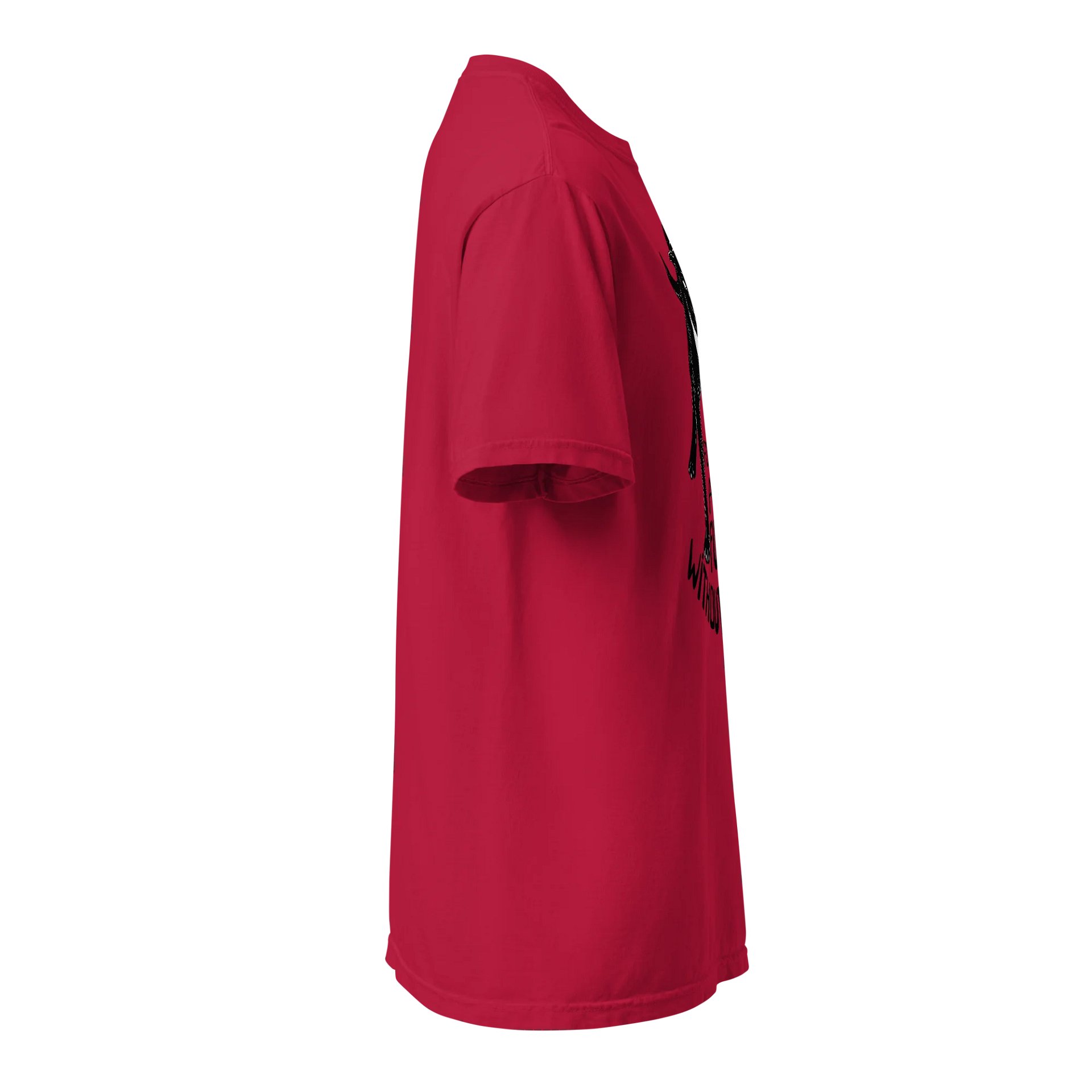For a Future Without Fear product image (39)