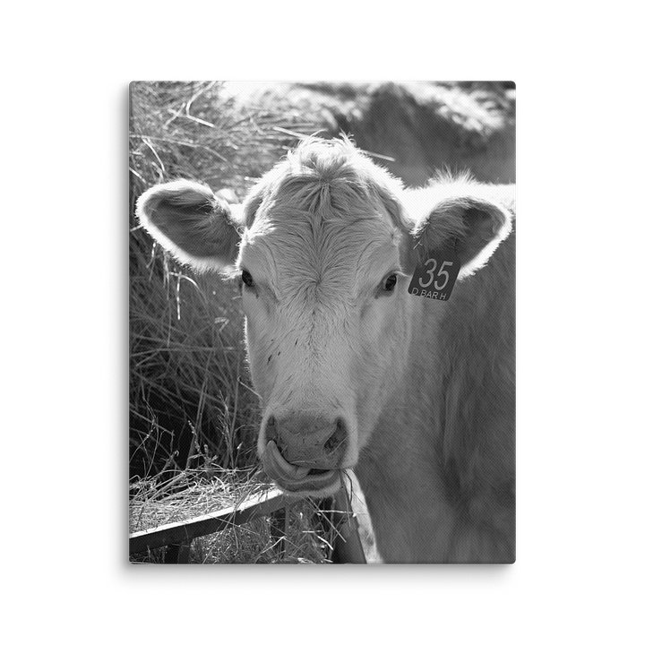 After the Bite Canvas Print product image (1)
