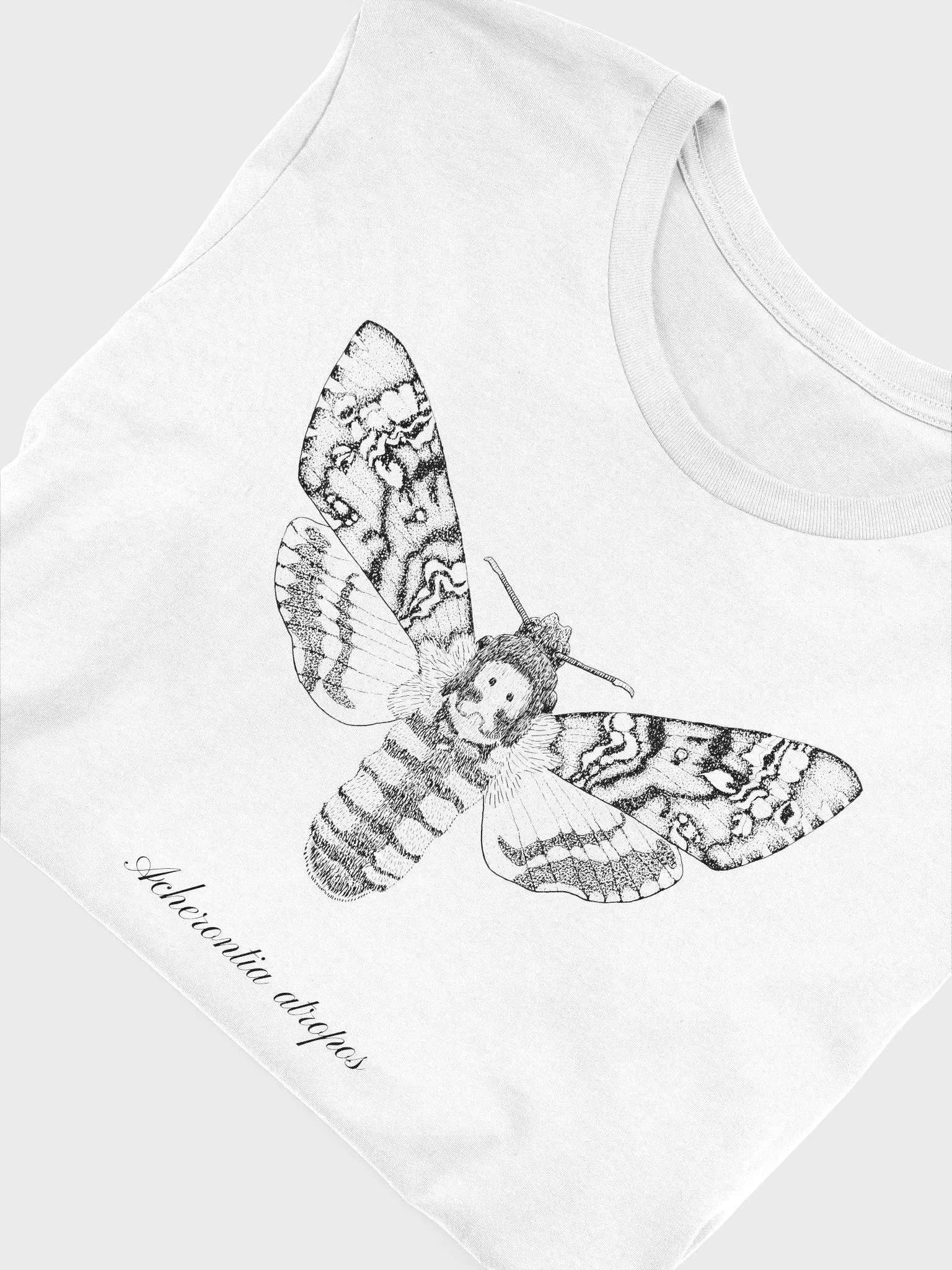 Death's Head Hawkmoth product image (19)