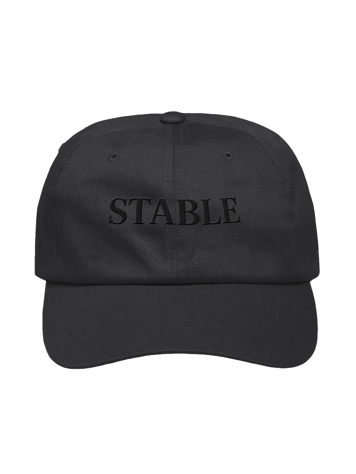 STABLE Baseball Cap product image (1)