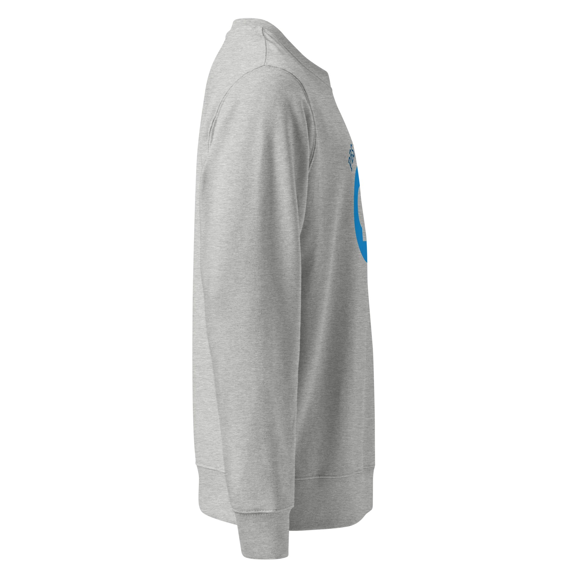 PBS is Our Foreplay (Stanley/Stella Organic Sweatshirt) product image (4)