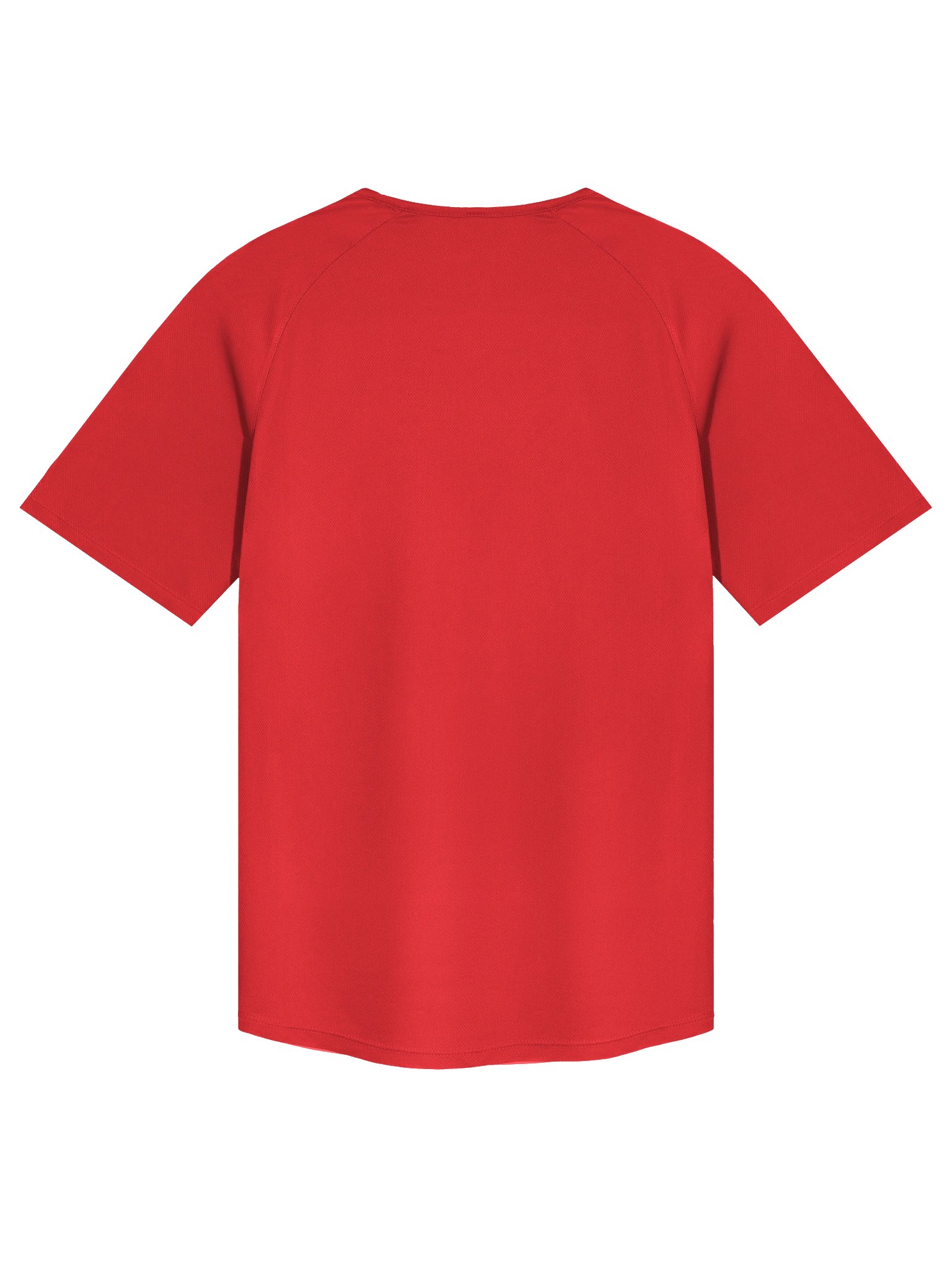 Heirloom Tomato T-Shirt | Red Oversized Tee with Tiny Tomato from Original Photo product image (21)