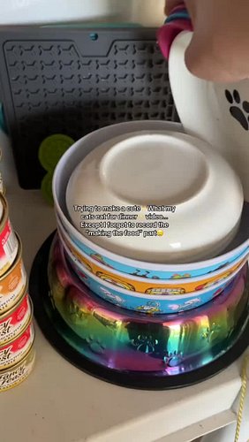 Oops!👍🥹🥹 

#cats #catlovers #catfood #catfeeding #catmom