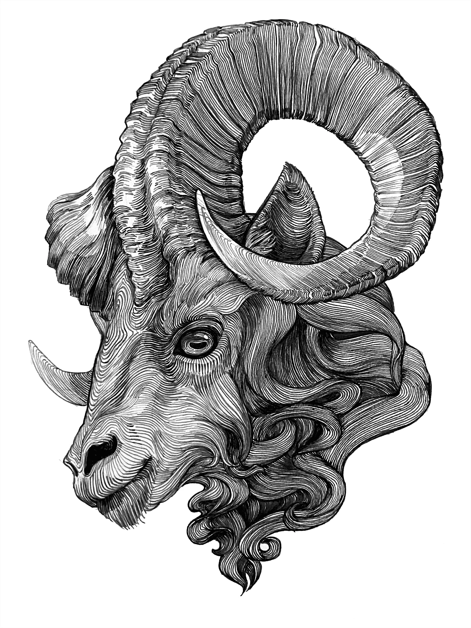 Inktober art. “Ram” (free shipping) product image (1)