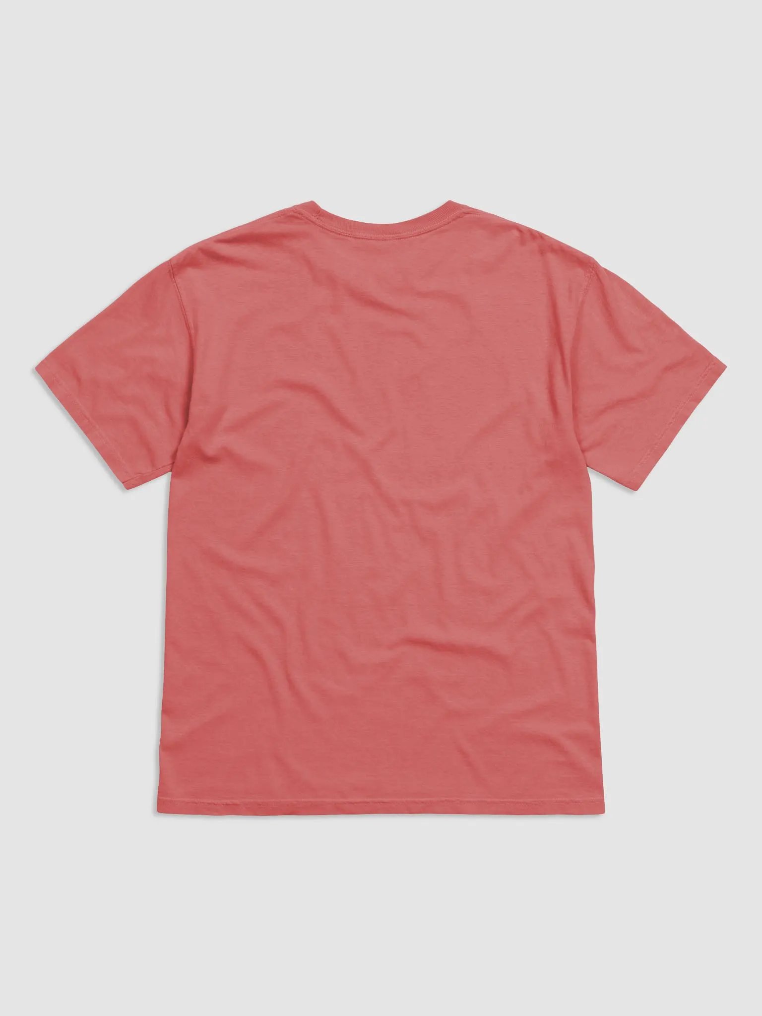 eavily Meditated We Rise Together Spiritual T Shirt, Dreaming Women, 4 AM Club, Lightworker, Witchtok Tee product image (3)