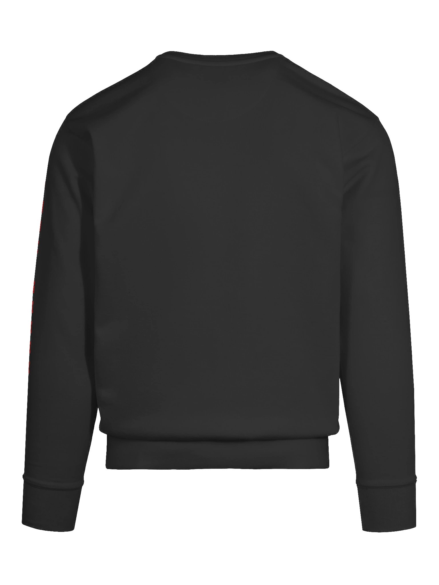 WCYD Sweatshirt product image (11)
