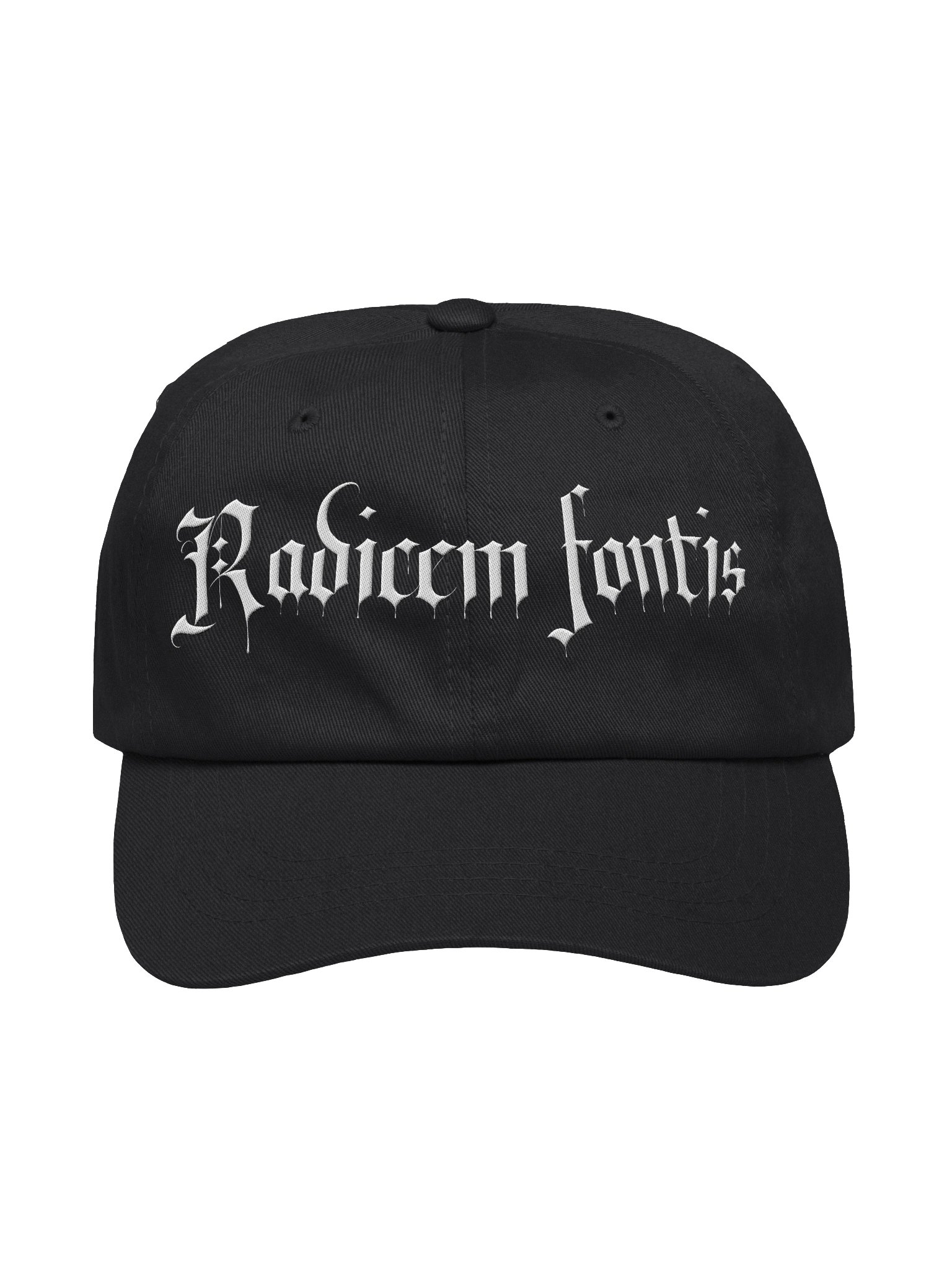Radicem fontis "Rooted" Dad cap product image (2)