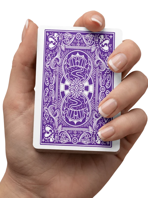 LowkeyFire TADC Playing Cards product image (3)