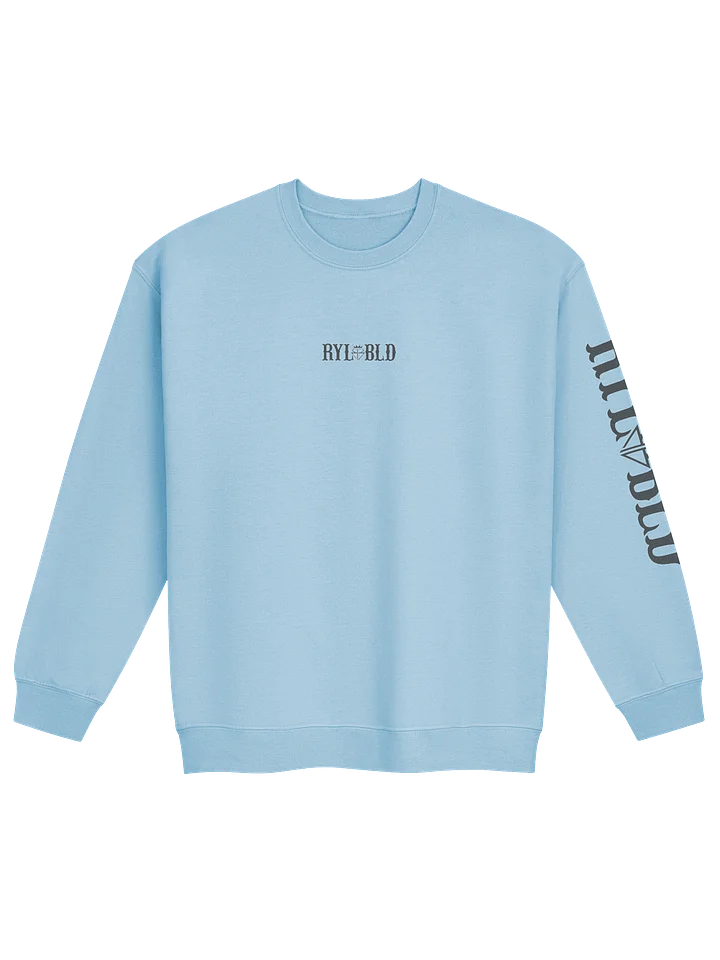SALT BLOOD CREWNECK product image (6)
