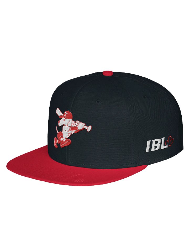 Galt Terriers Legacy Cap product image (2)