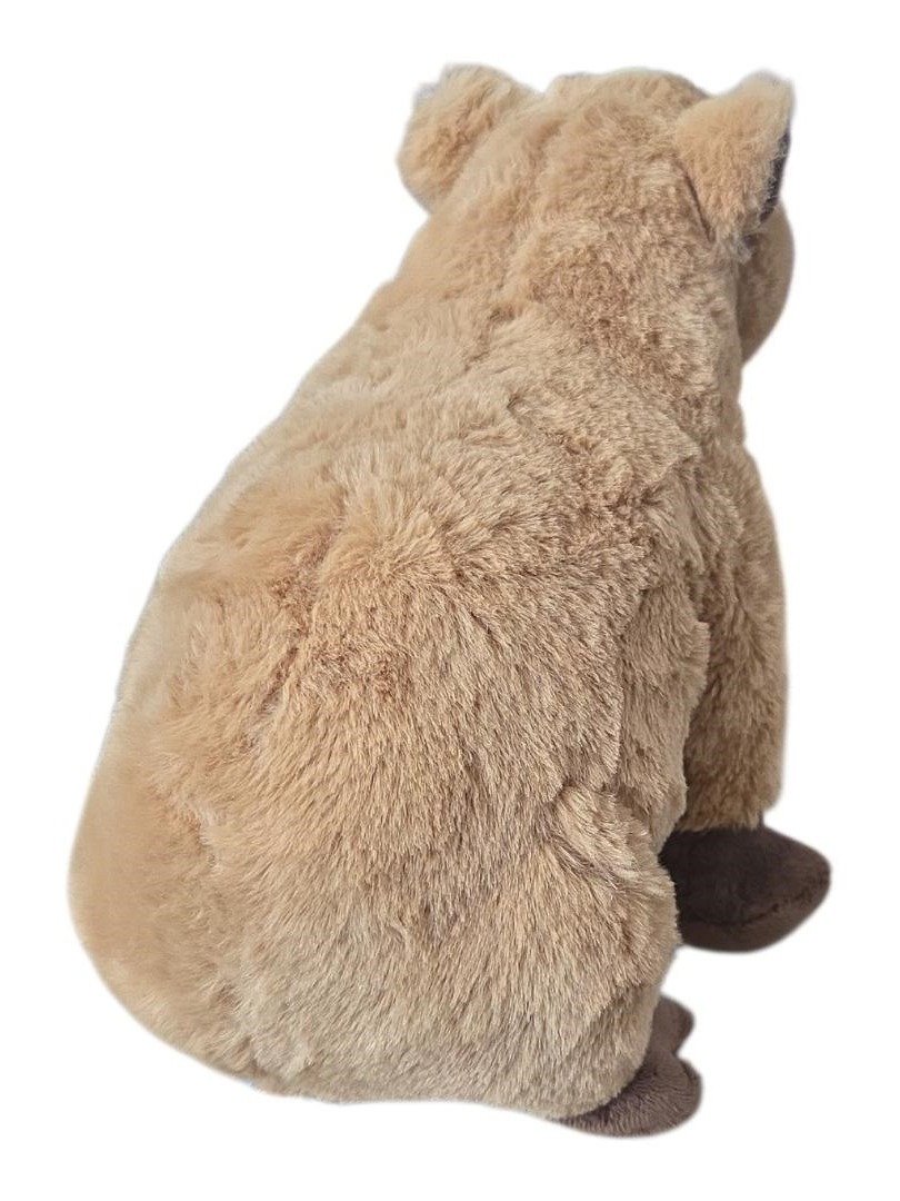 Cute 11" Animal Den Capybara Plush - Soft Stuffed Anime Style Toy Gift ( product image (4)