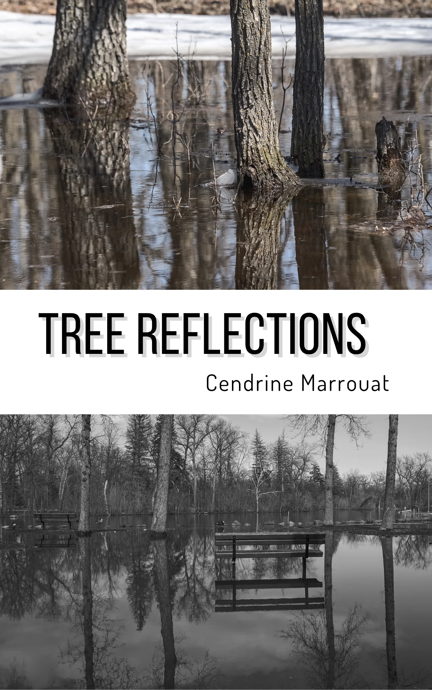 Tree Reflections product image (1)