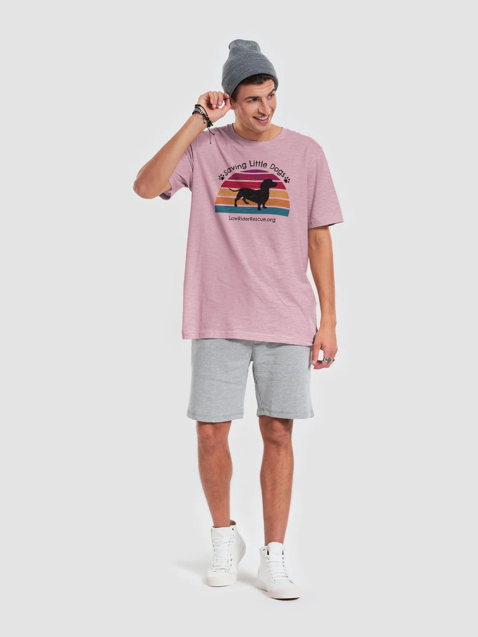 Sunset Rainbow Low Rider Dachshund Rescue T 4 product image (3)