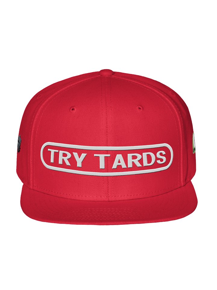 NinTardoHat product image (1)