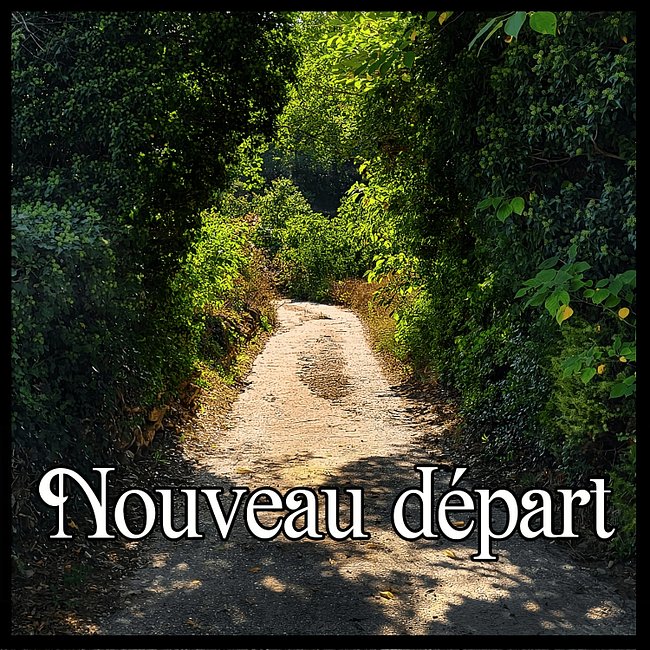Albums