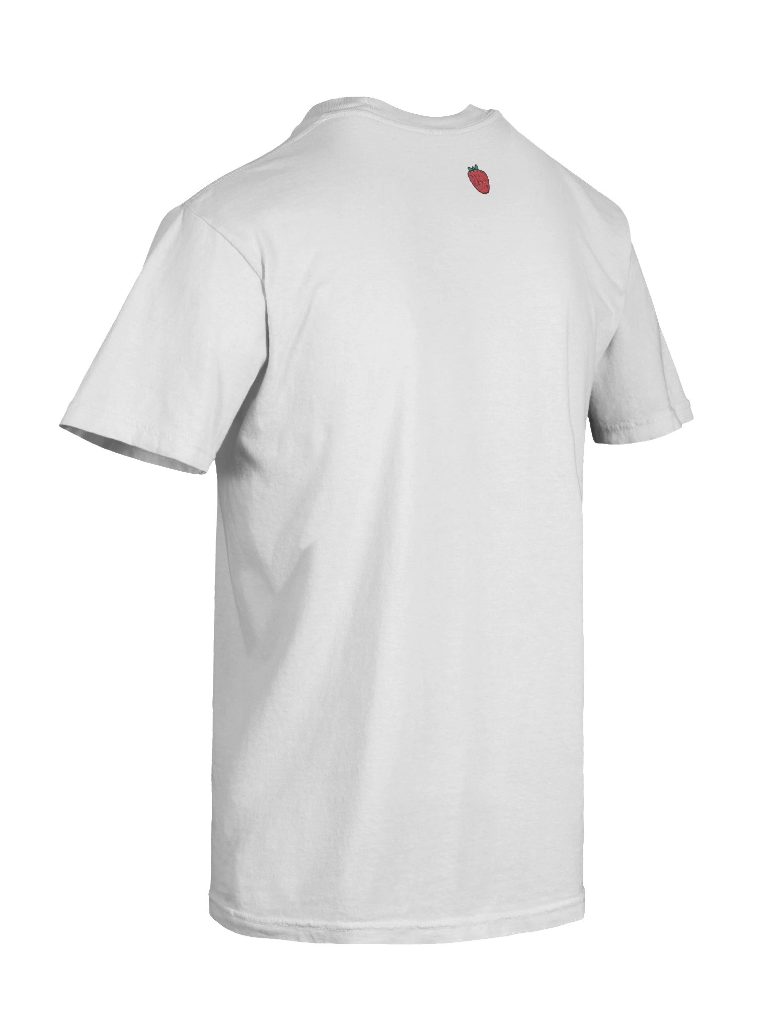 interpretor. product image (10)