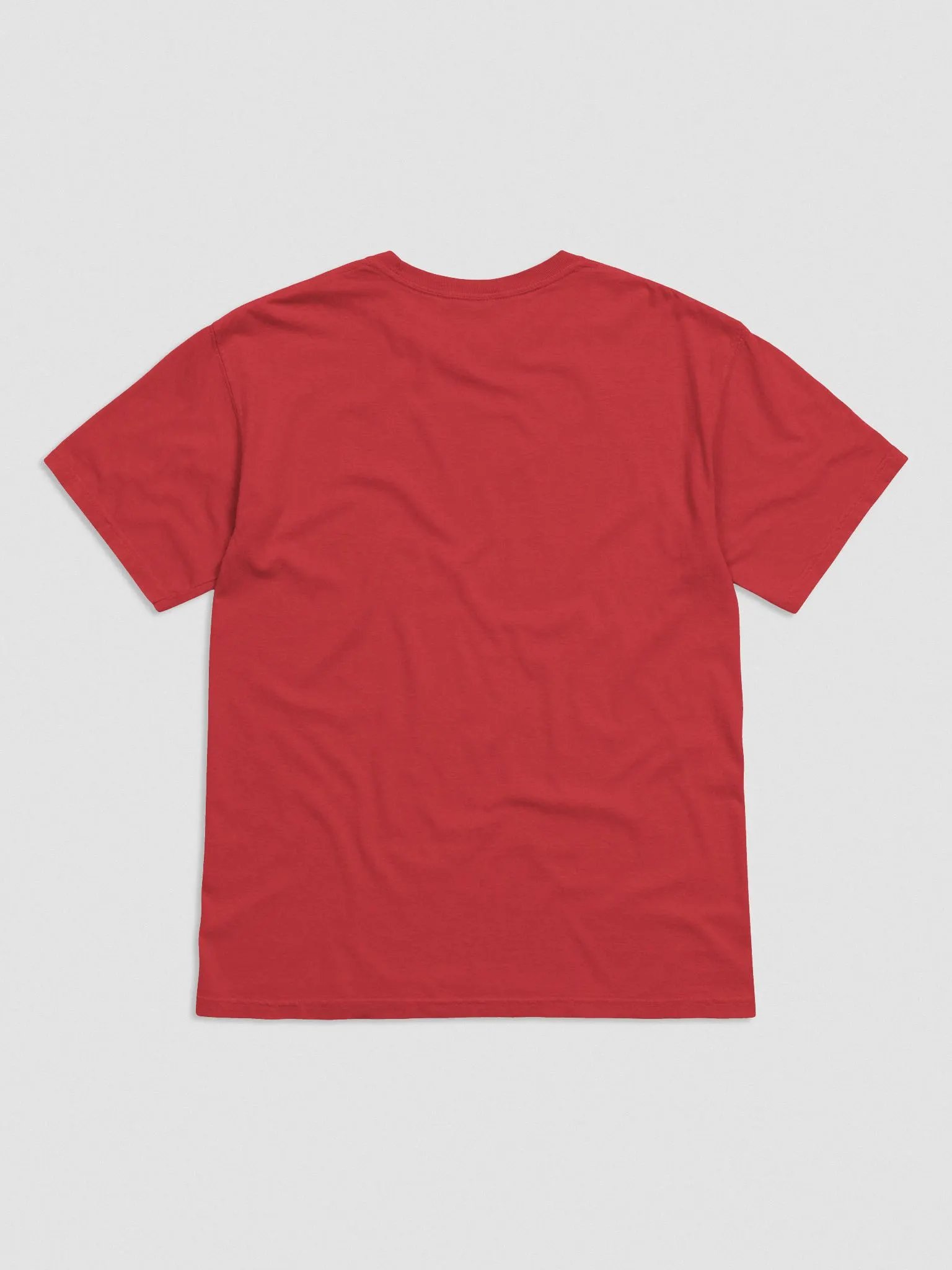 EXCLAIMING MENTALLY (L.C., lined red) embroidered garment dyed tee product image (18)