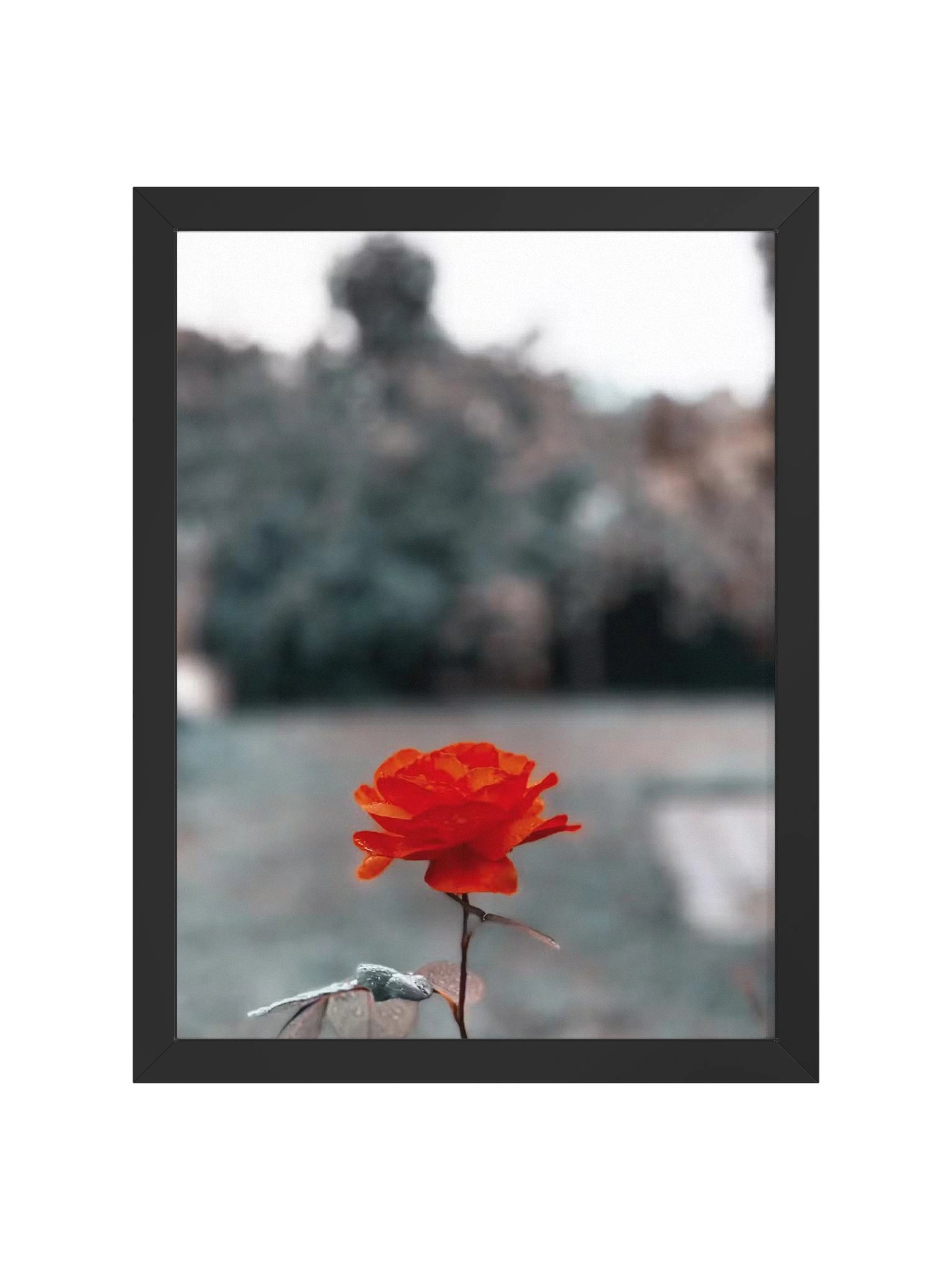 Eternal product image (1)