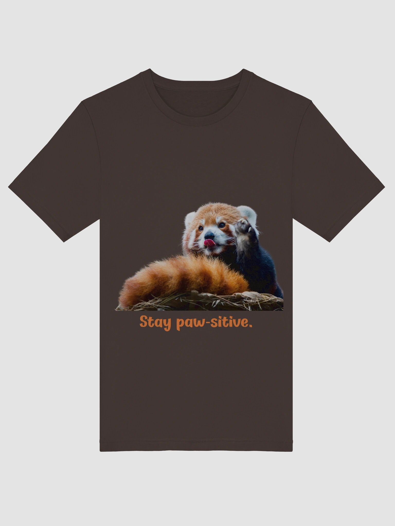 Stay Paw-sitive- Red Panda T-Shirt product image (3)