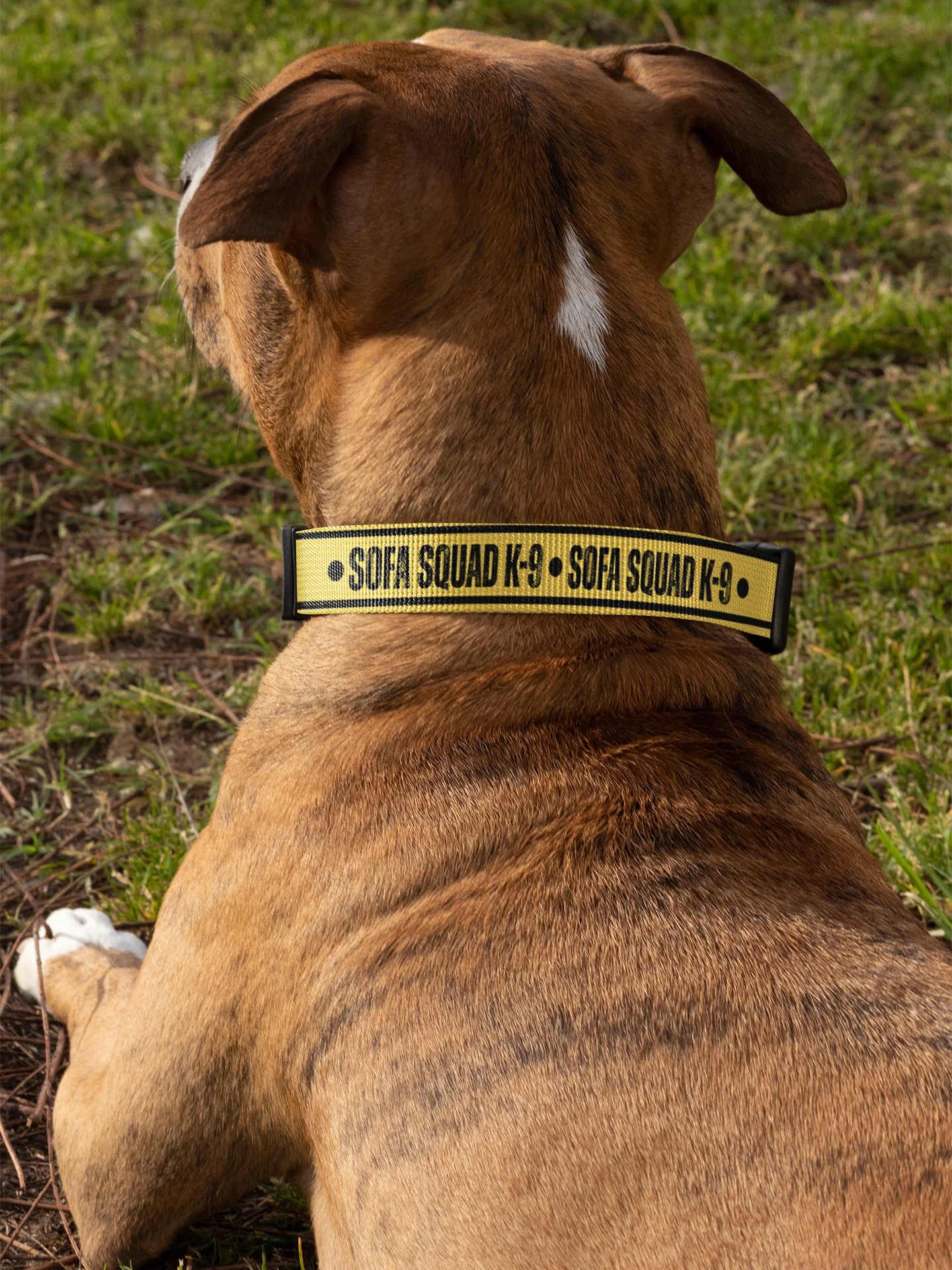 Sofa Squad K-9 Dog Collar product image (2)