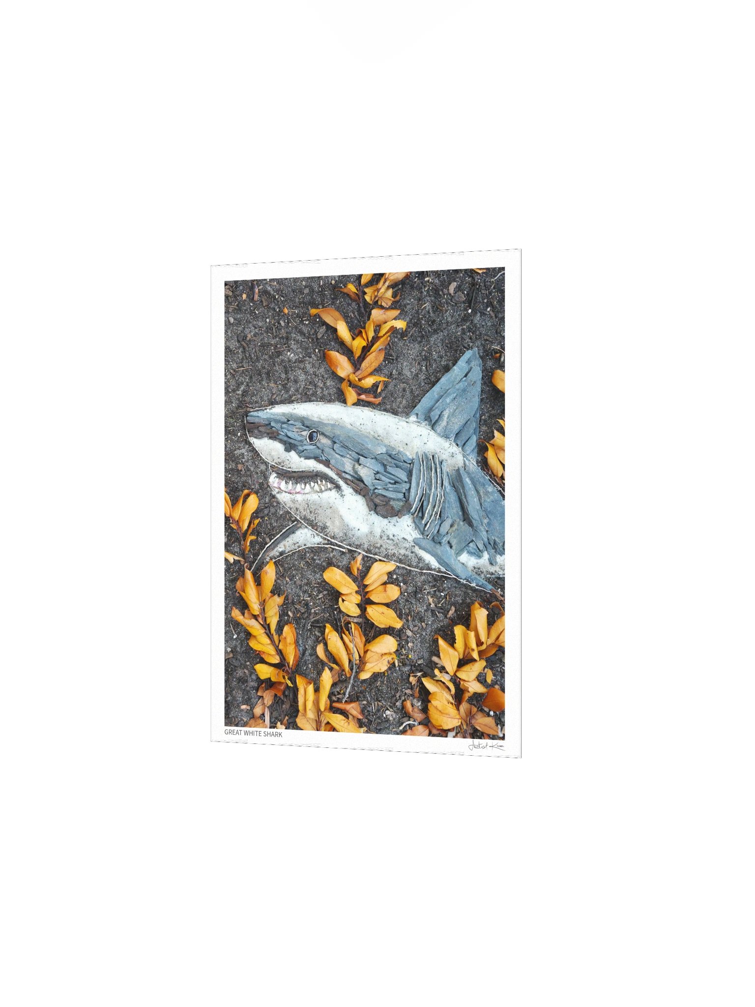 GREAT WHITE SHARK | Fine Art Print product image (3)