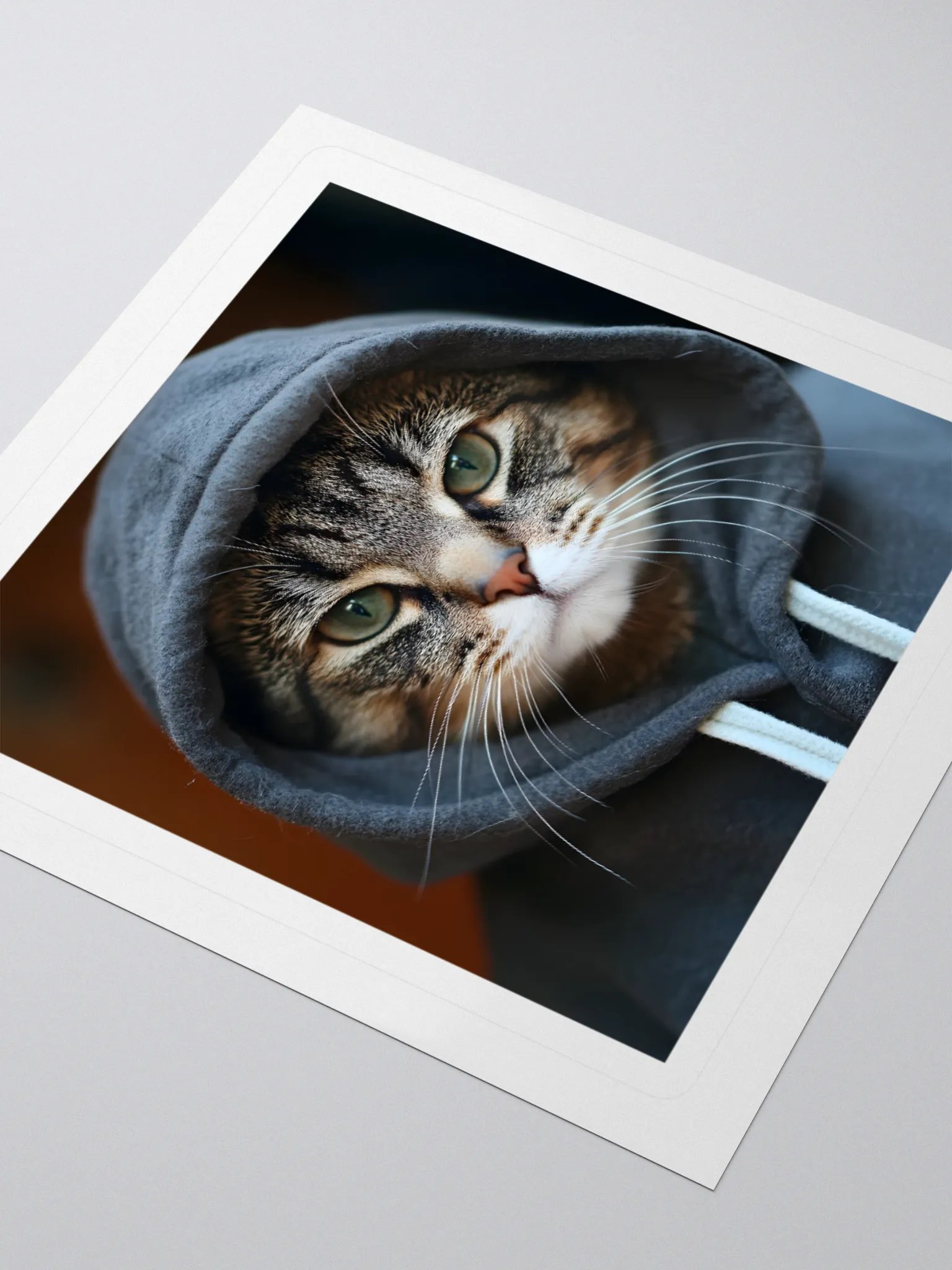 Hacker Cat product image (7)
