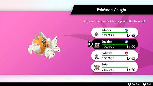 ✨ SHINY FOUND ✨ Shiny Seaking
We’ve spotted a shiny Seaking in Dynamax Adventures—please stay tuned for updates.
The route is...