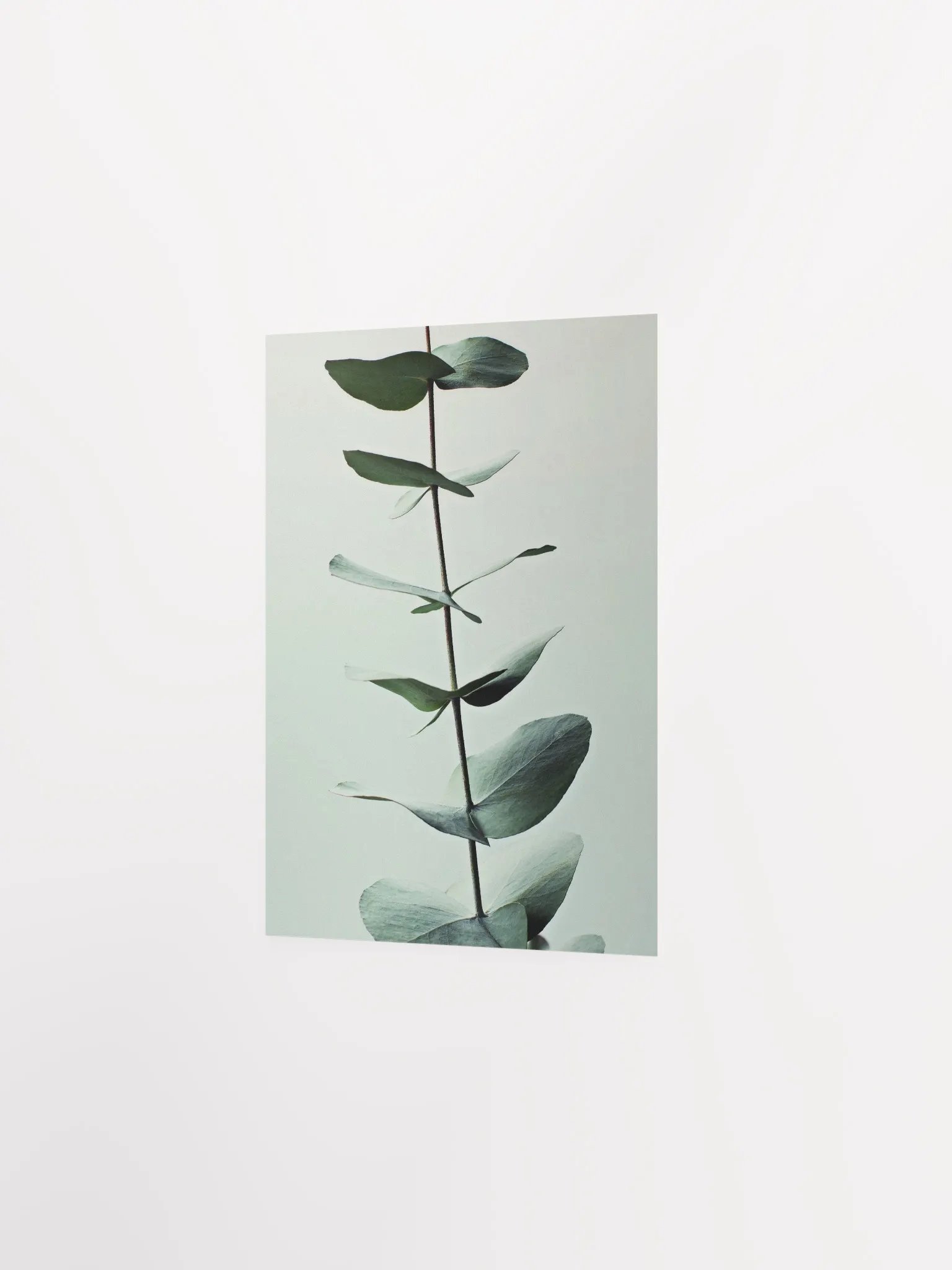 Eucalyptus Whispers Matte Poster product image (26)