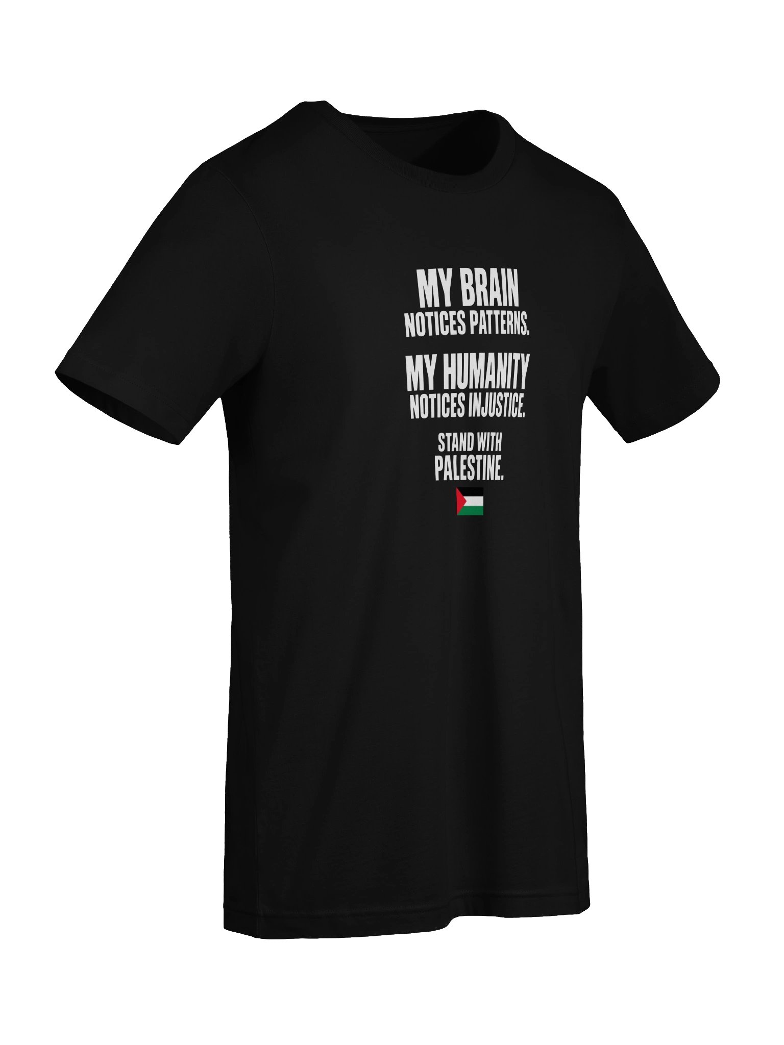 My Brain Notices Patterns, My Humanity Notices Injustice T-Shirt 🇵🇸 product image (7)