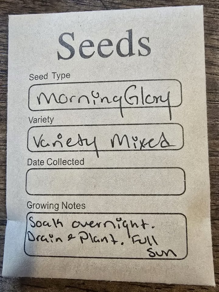 SEEDS! product image (2)