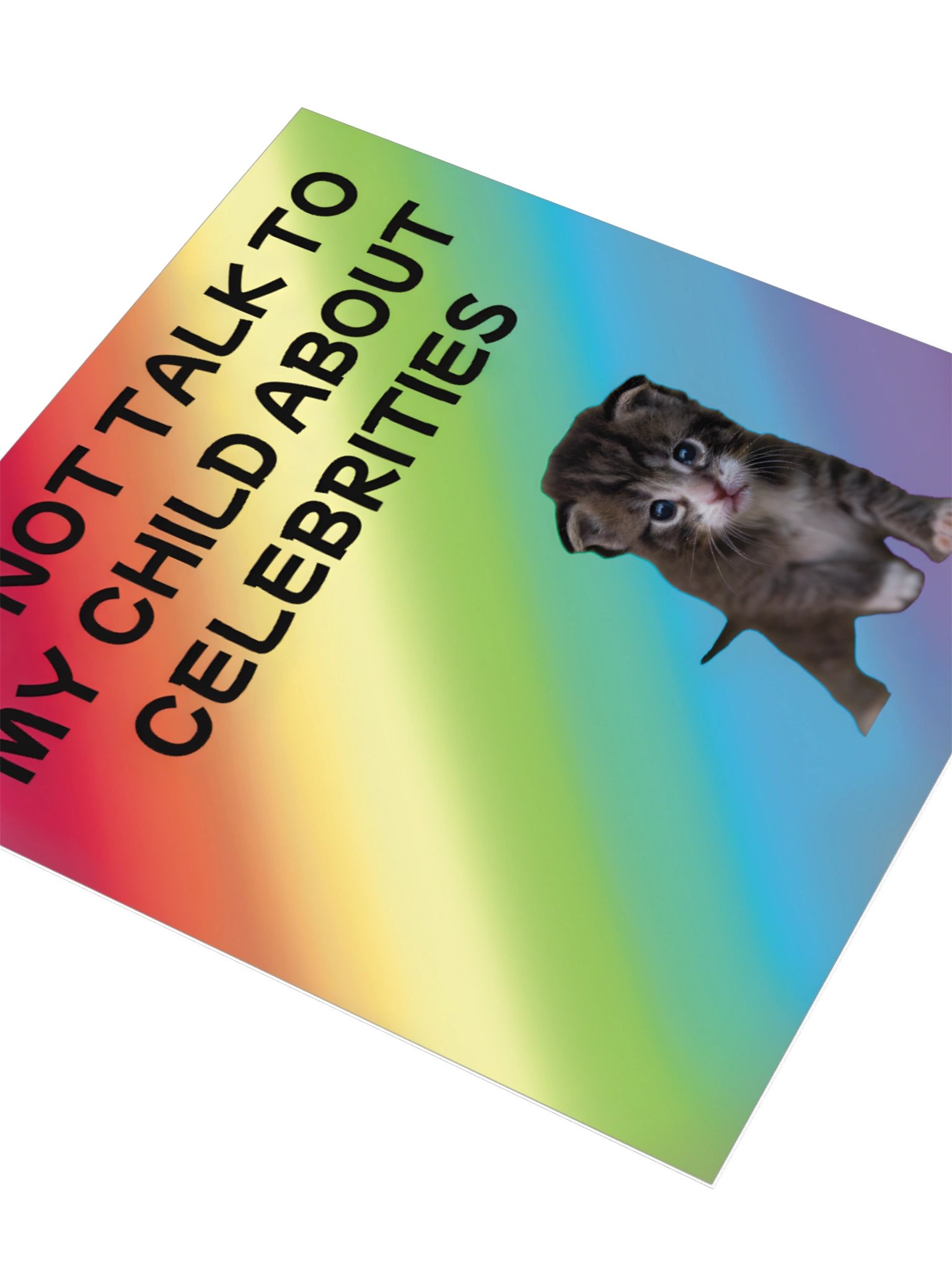 Do Not Talk to My Child About Celebrities Cat Sticker product image (7)