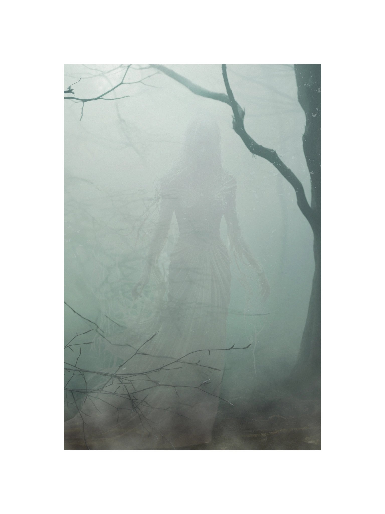 Banshee – The Veiled Mourner Poster product image (4)