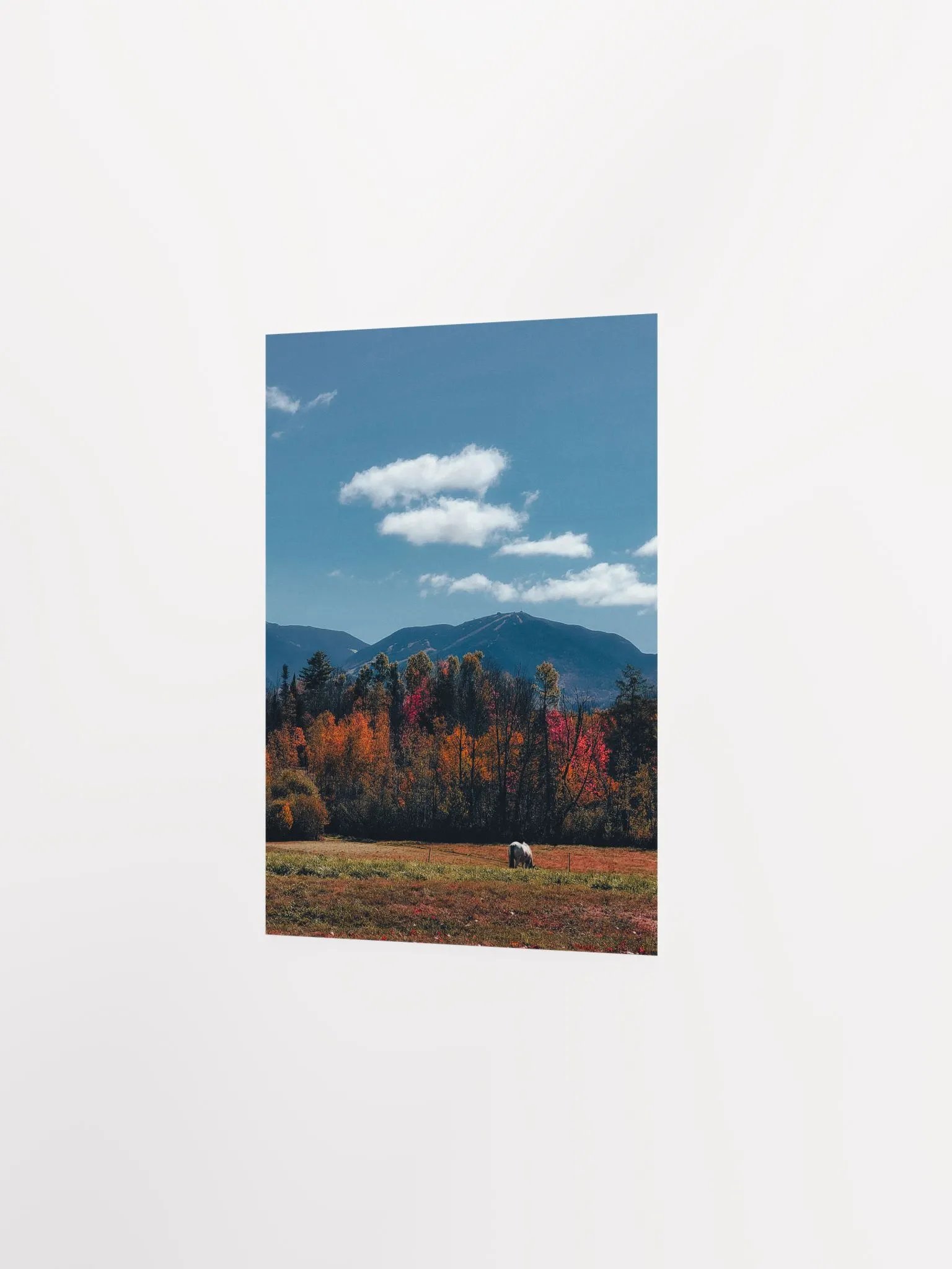 White Mountain Horse product image (3)