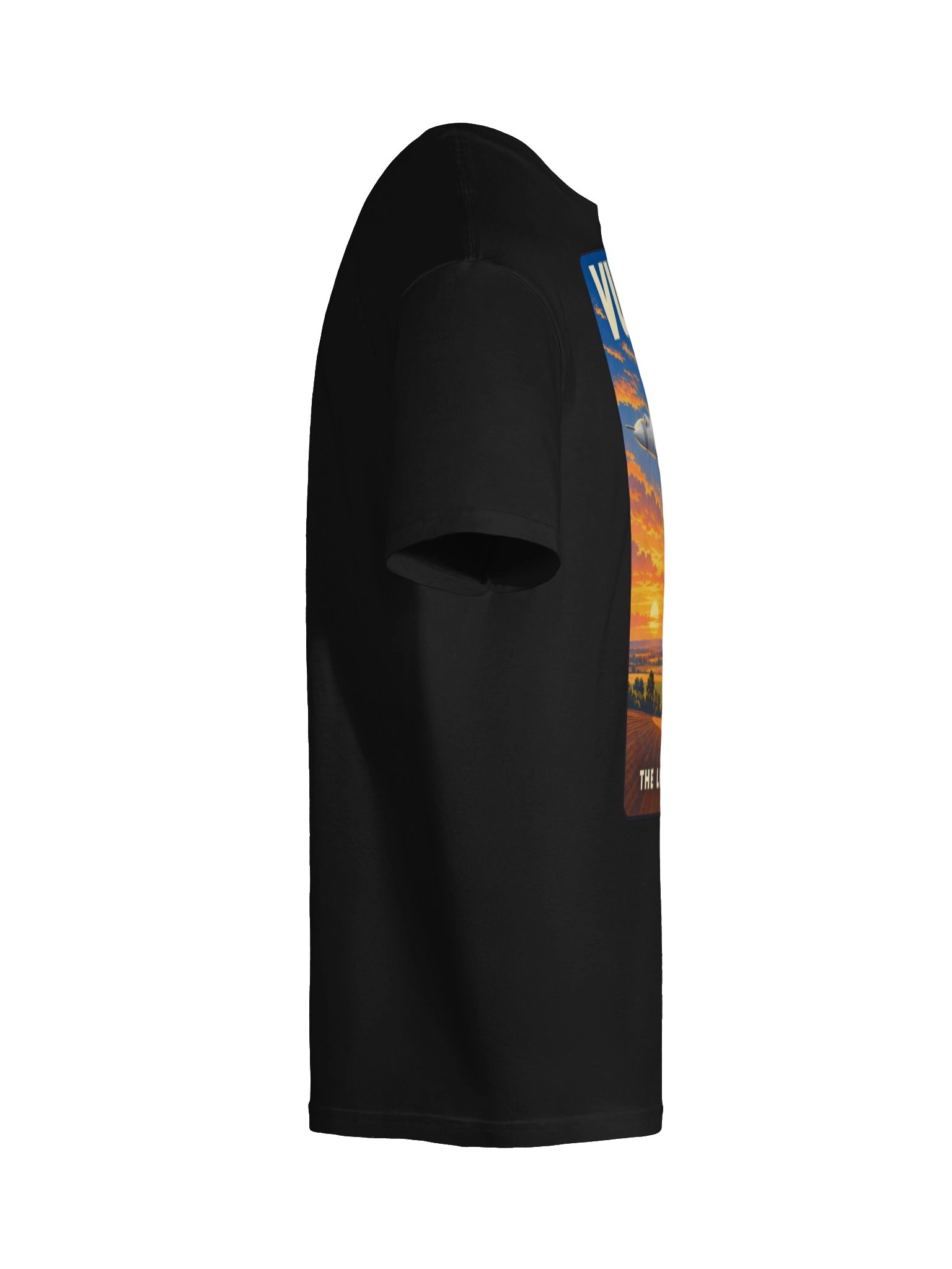 Vulcan – The Lincolnshire Skies product image (10)