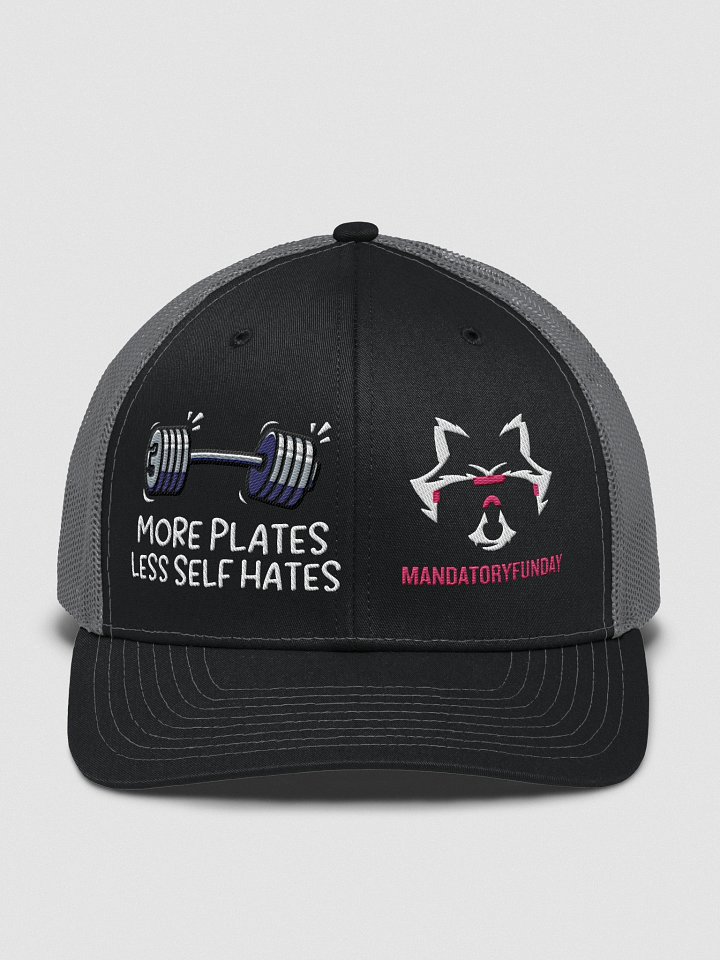 More Plates Hat product image (1)