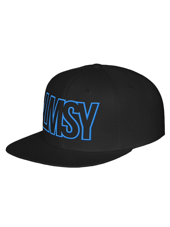 LMSY - Let Me Show You Flat Wool Hat product image (2)