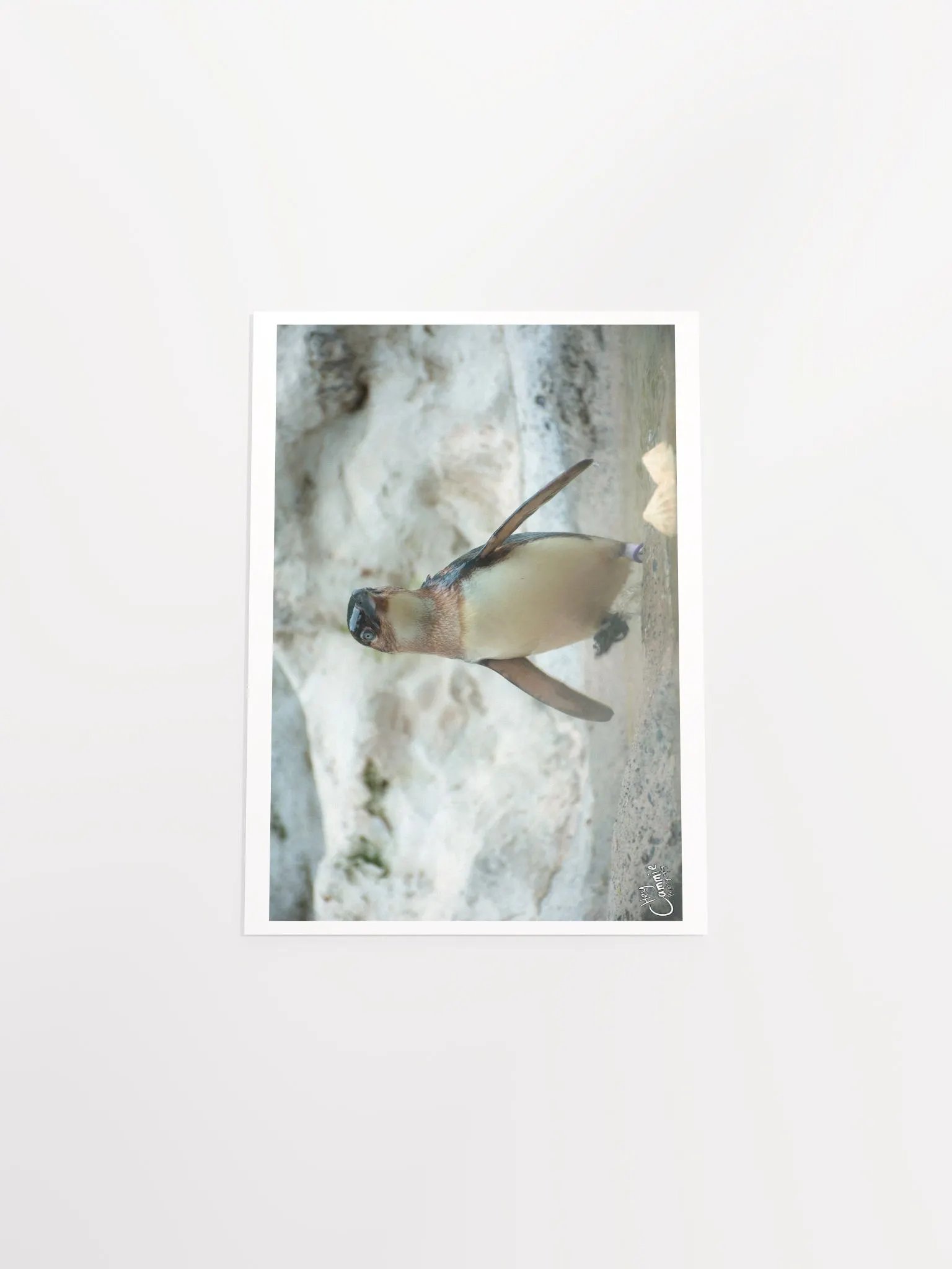 Penguins March - Print product image (4)