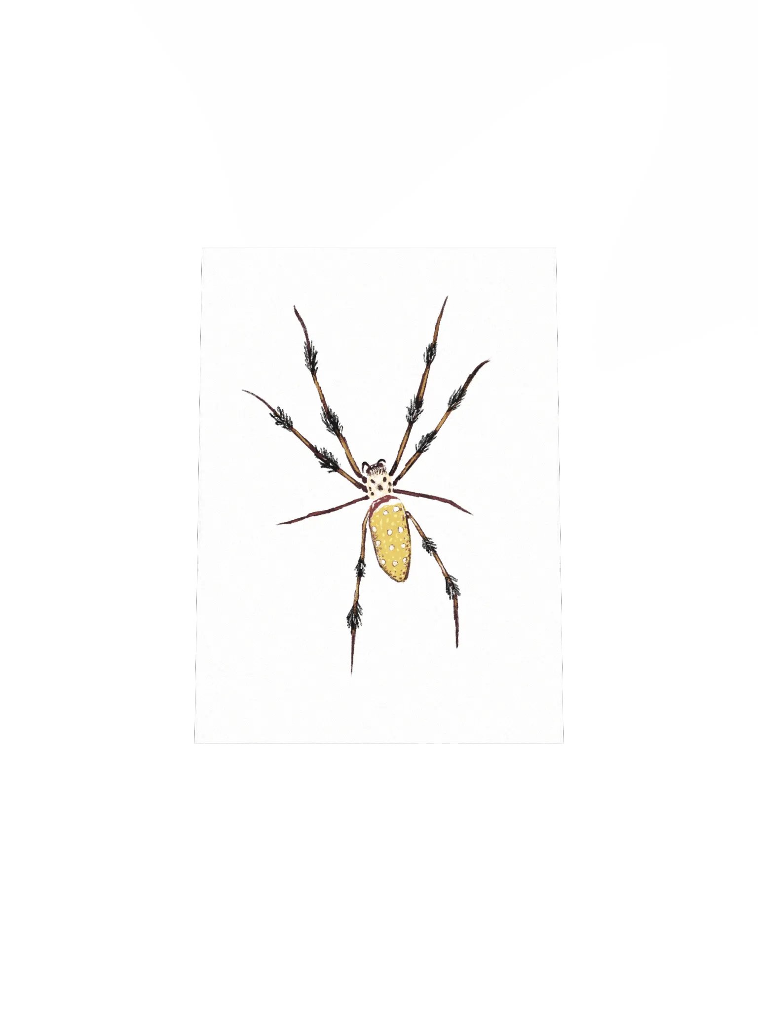 Smart Spider Mini Print product image (4)