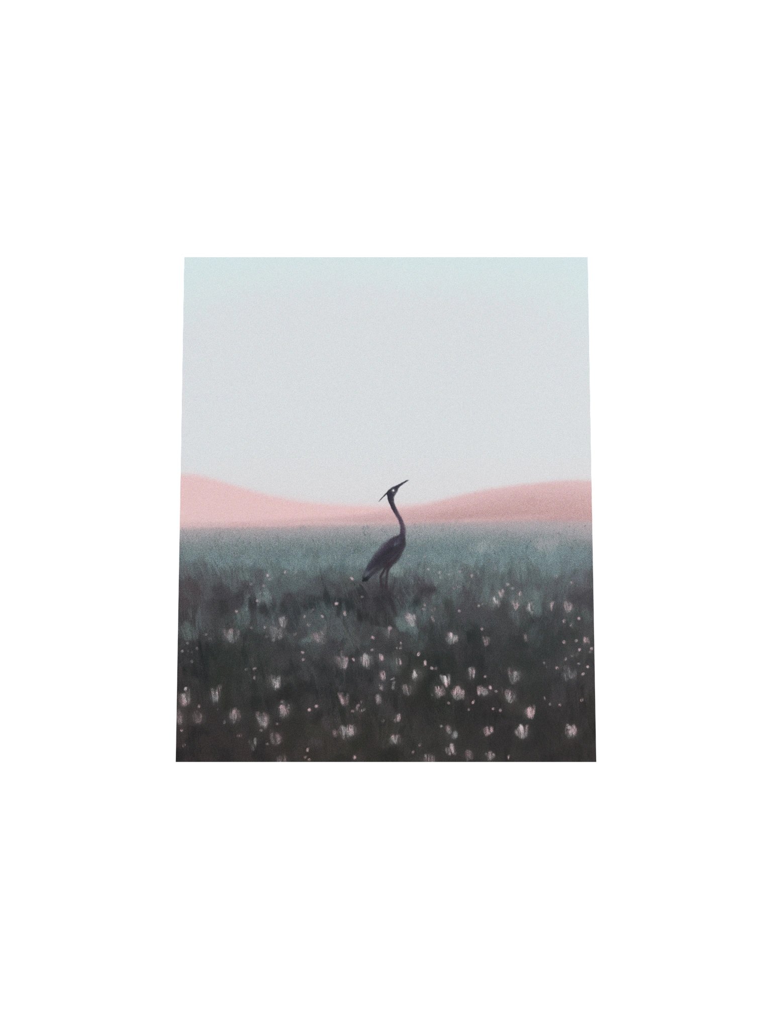 Crane in Flower Field product image (4)