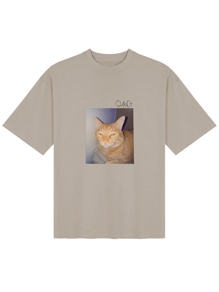 QWHYET LITTY KITTY Oversized Tee (BLACK LOGO) product image (1)